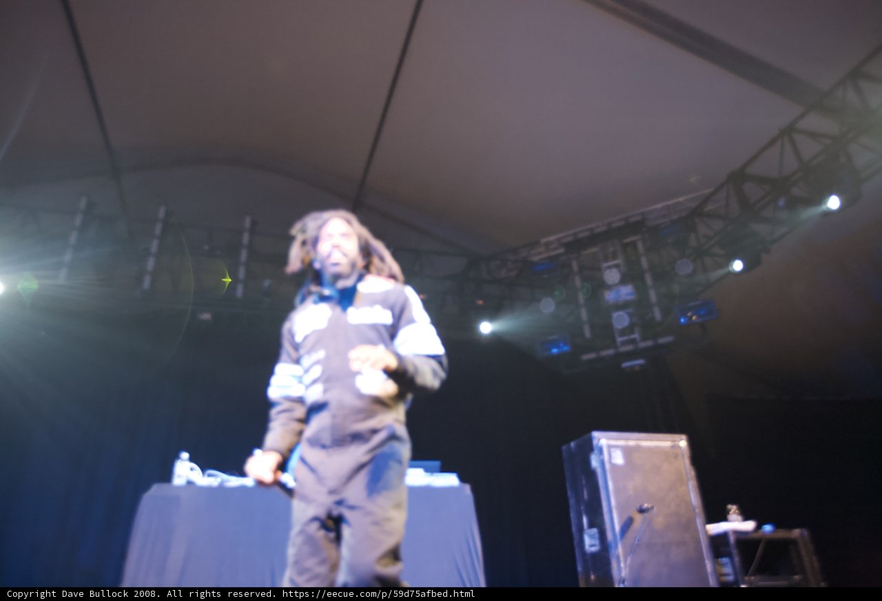 Dreadlocked Entertainer Takes the Stage at 2008 Coachella Concert