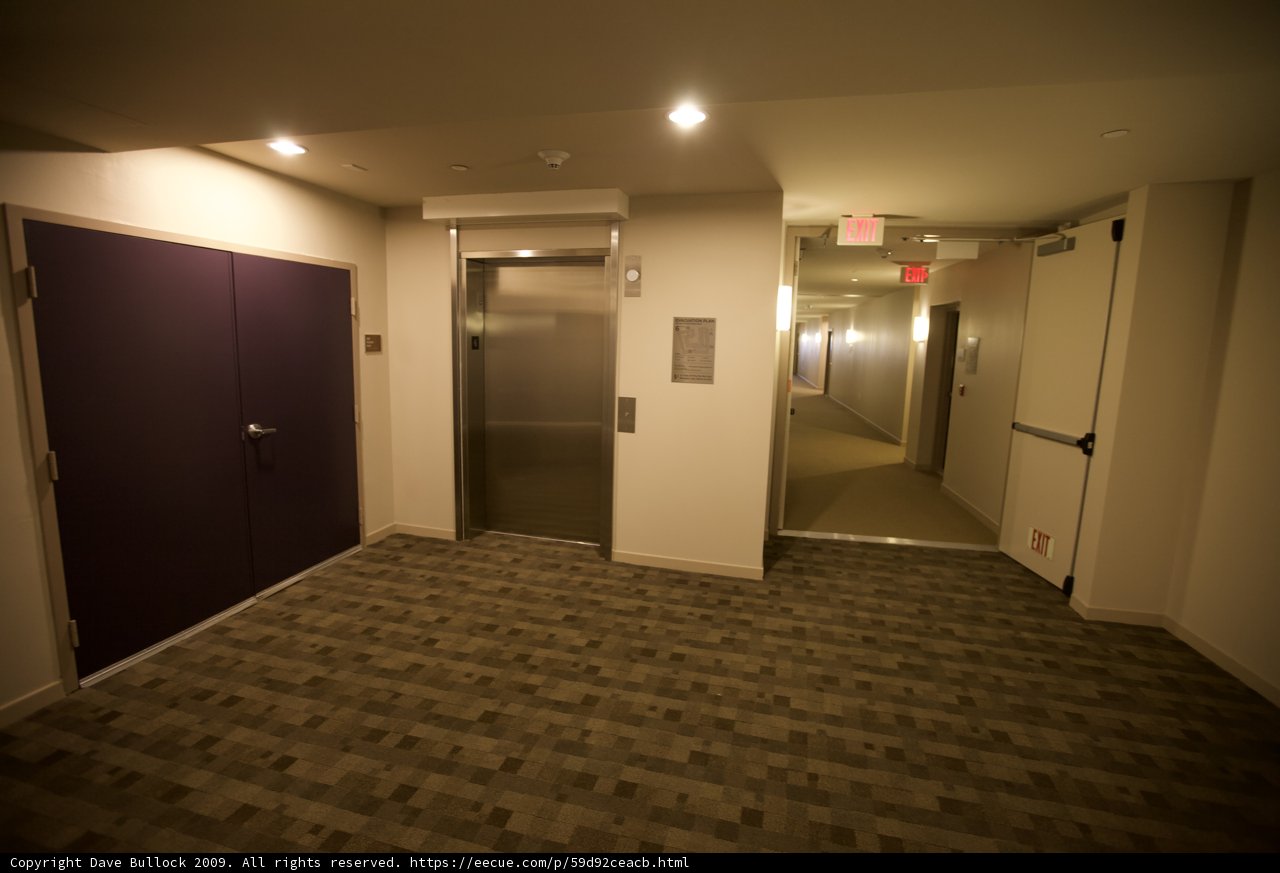 The Purple Carpet Corridor