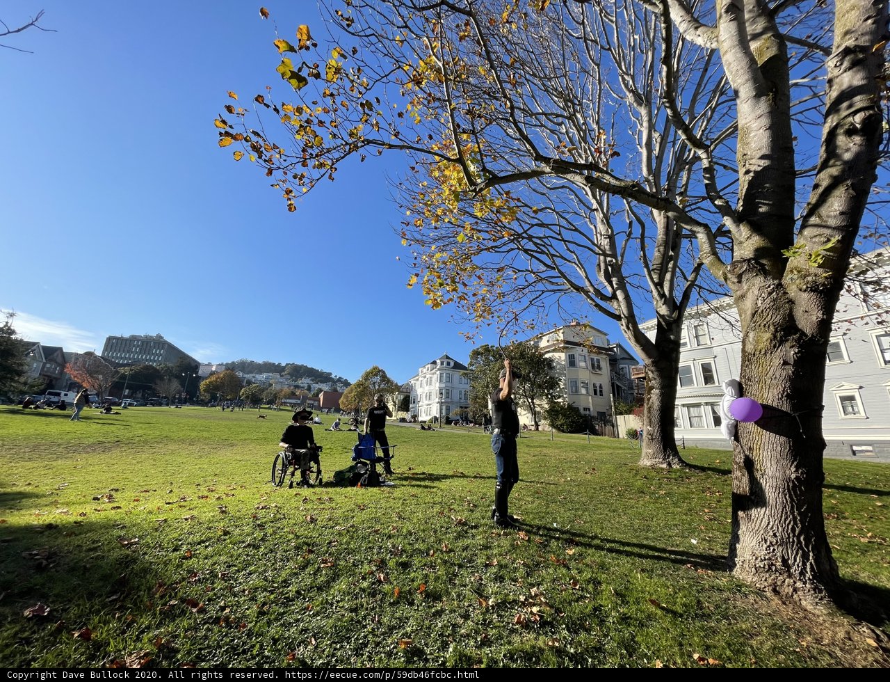A Day in Duboce Park