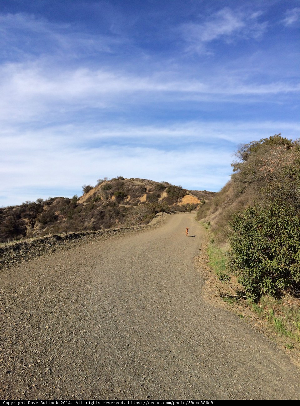 Journey on the Dirt Road