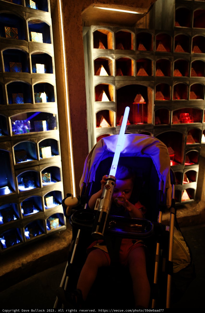 The Young Jedi in Disneyland