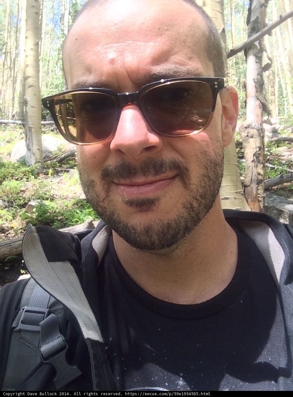 Sunglasses in the Wilderness