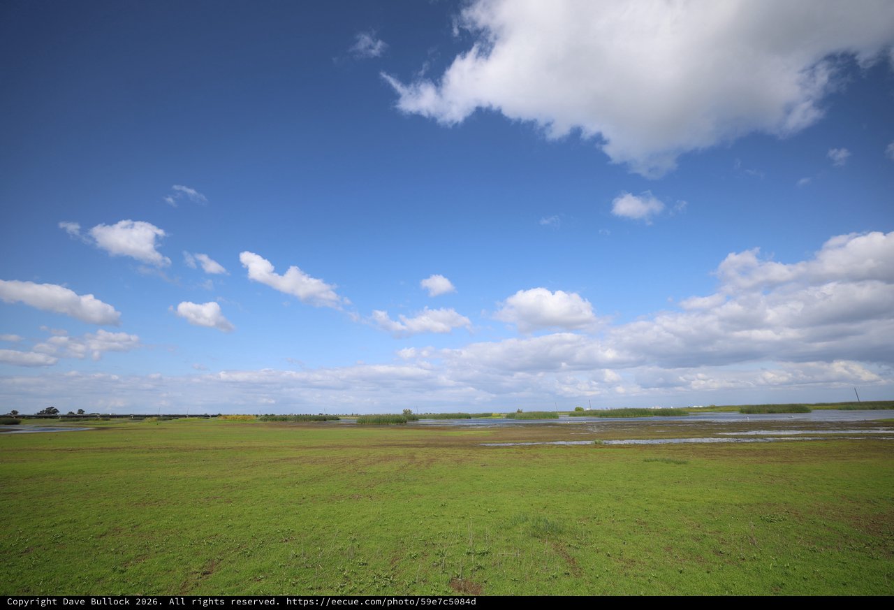 Expansive Wetlands Under Wide Blue Skies