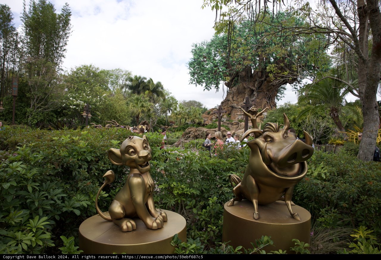 The Grand Opening of Disneyland's New Animal Kingdom