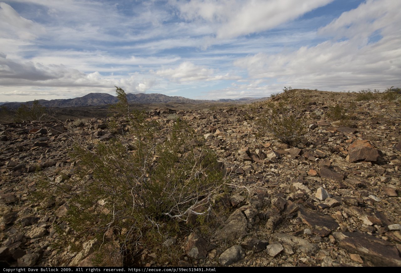Rocky Hill Amidst the Wilderness