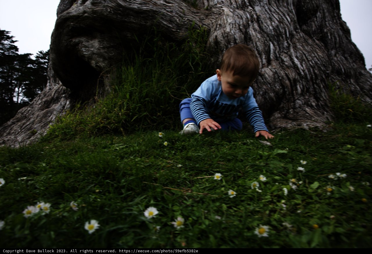 Exploring Nature's Playground