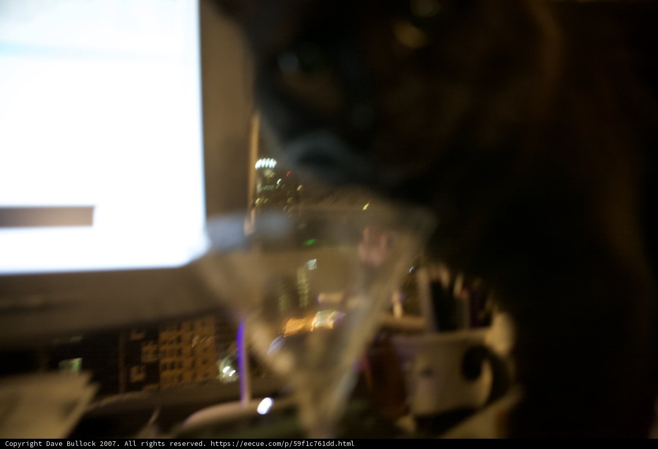 Feline Wine Connoisseur