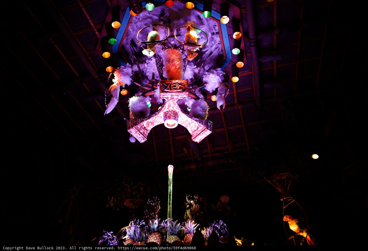 Enchanting Floral Chandelier at Disneyland