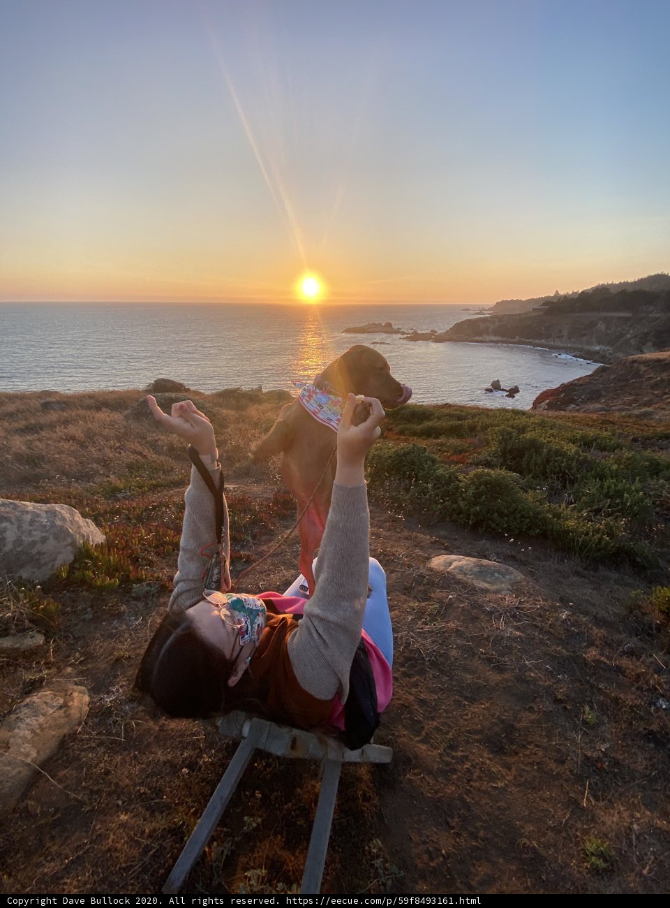 Sunset Serenity with Furry Companion