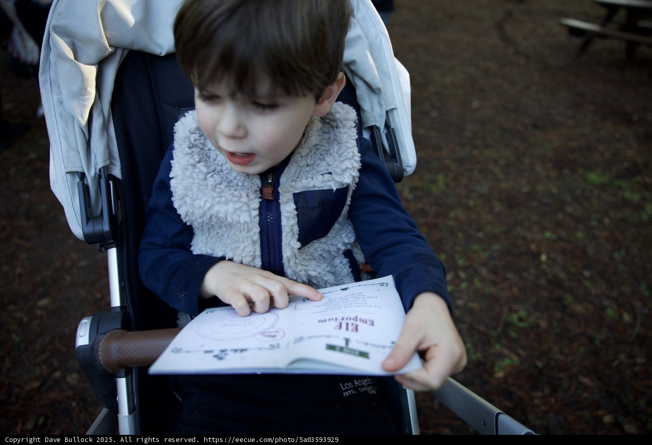 A Curious Mind at Thistlewyck