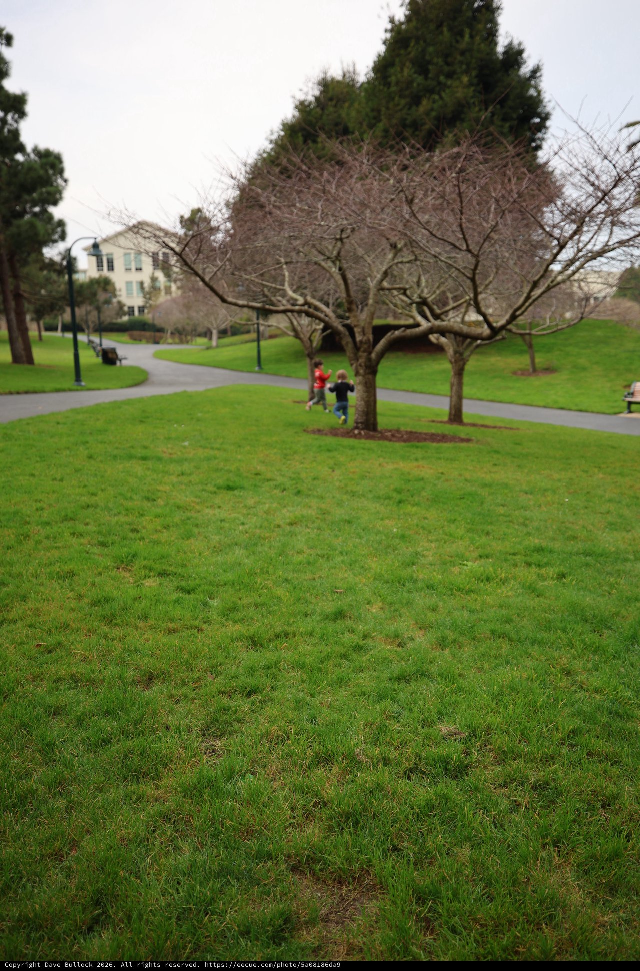 Children Playing in Park on Overcast Winter Day
