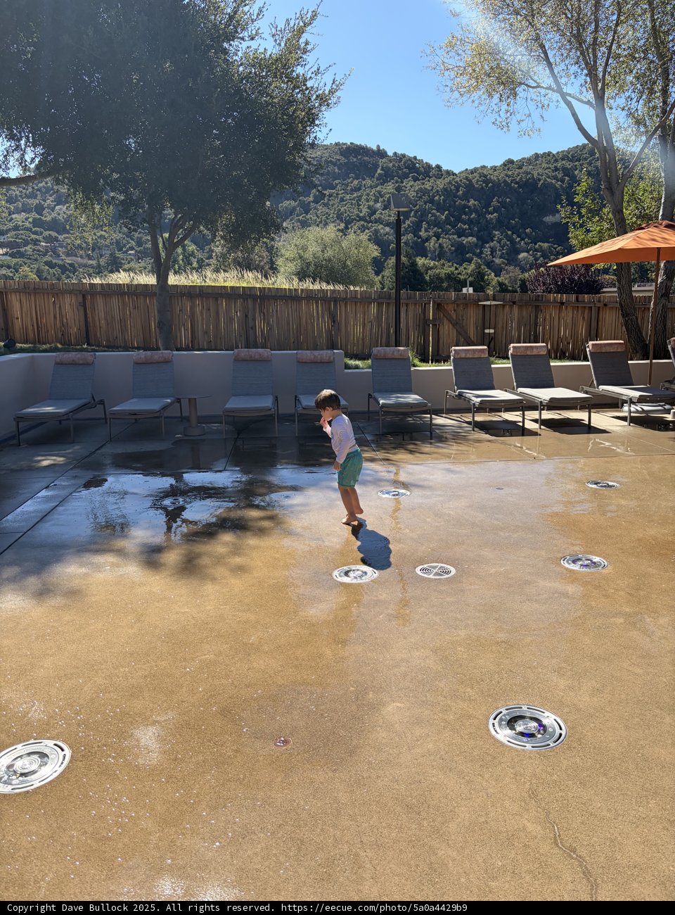 Sunny Moments in Carmel