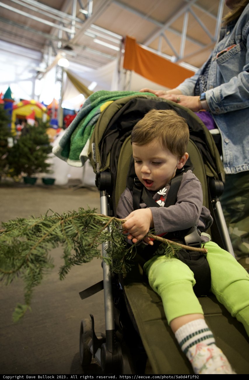 Festive Frolics at Fort Mason
