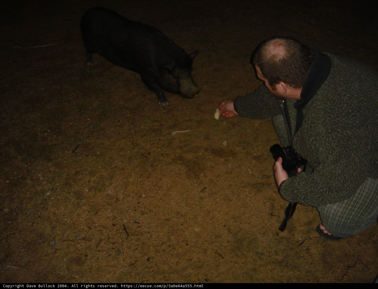 Feeding Time