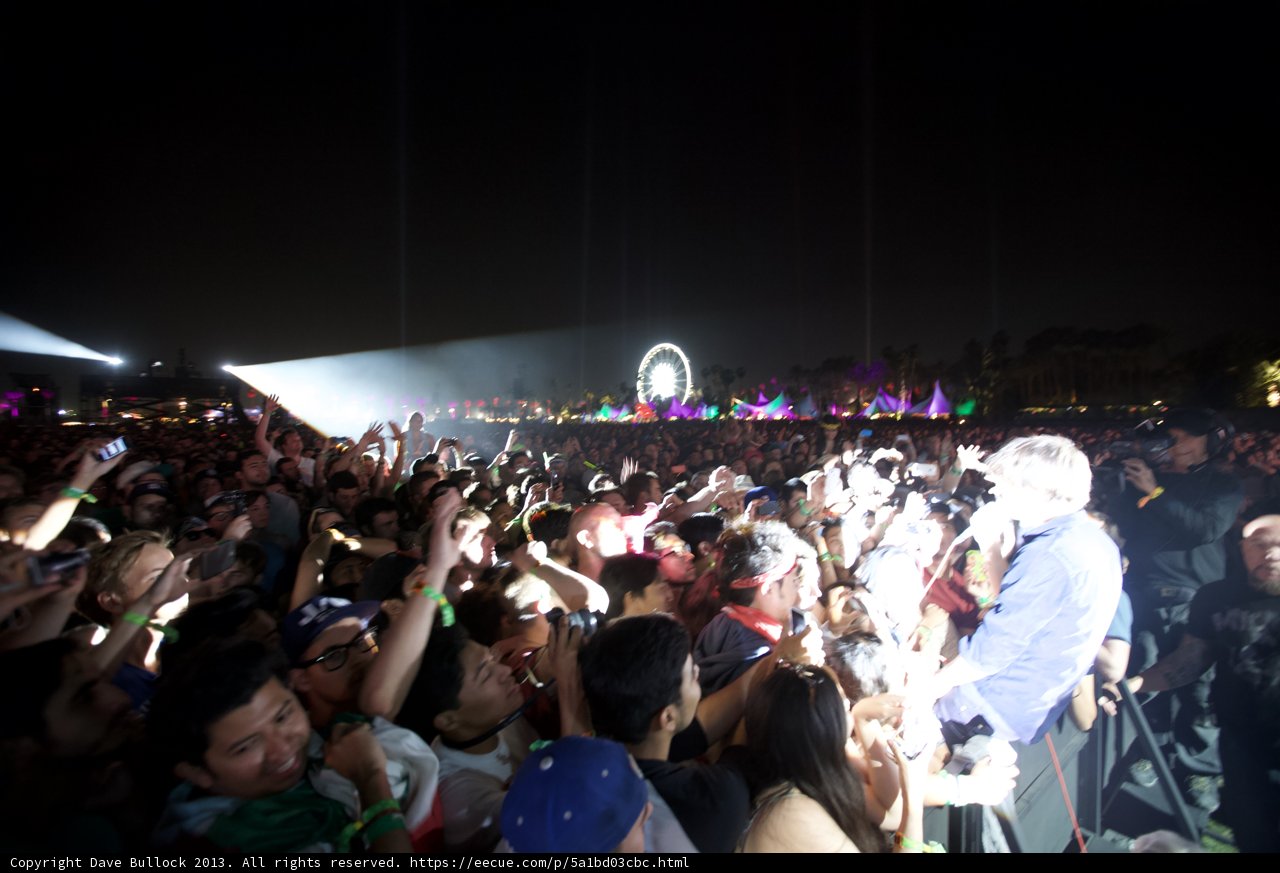 Man in the Heart of the Coachella Crowd