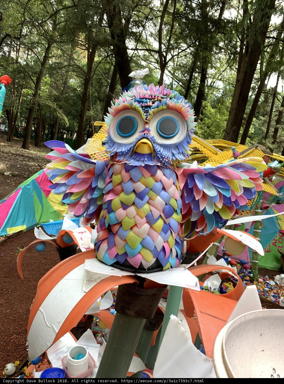 Colorful Wildlife in the Park
