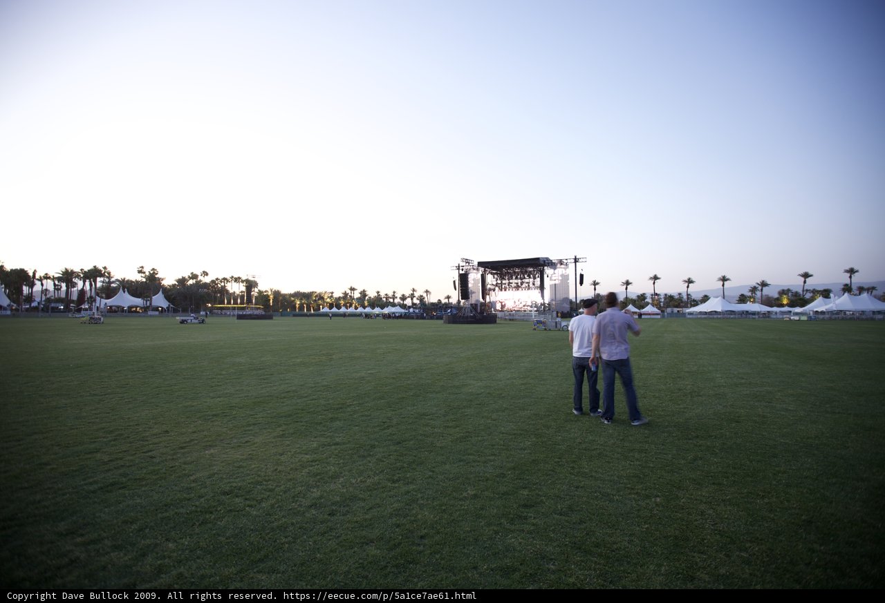 Grass and Good Vibes at Coachella