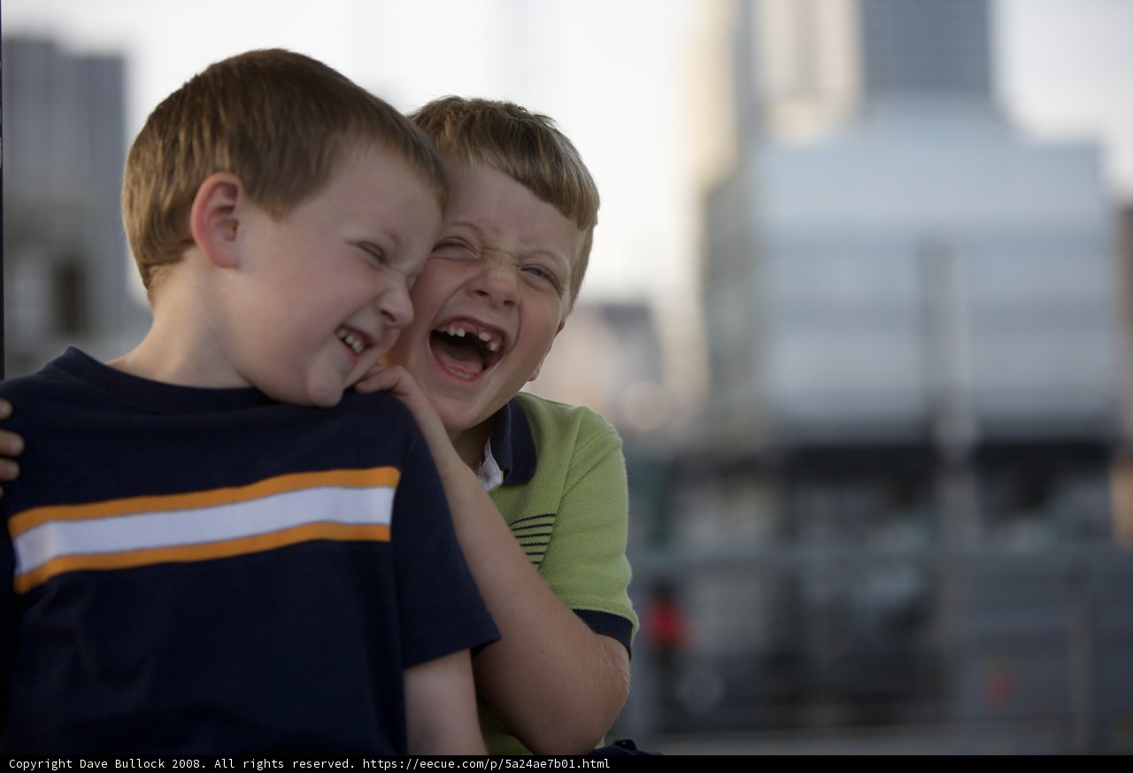 City Slickers