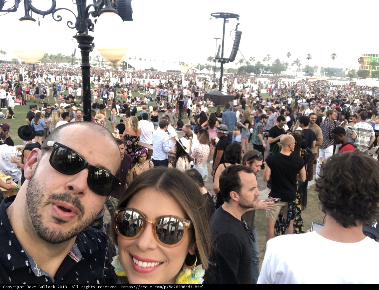 Selfie in the Festival Crowd