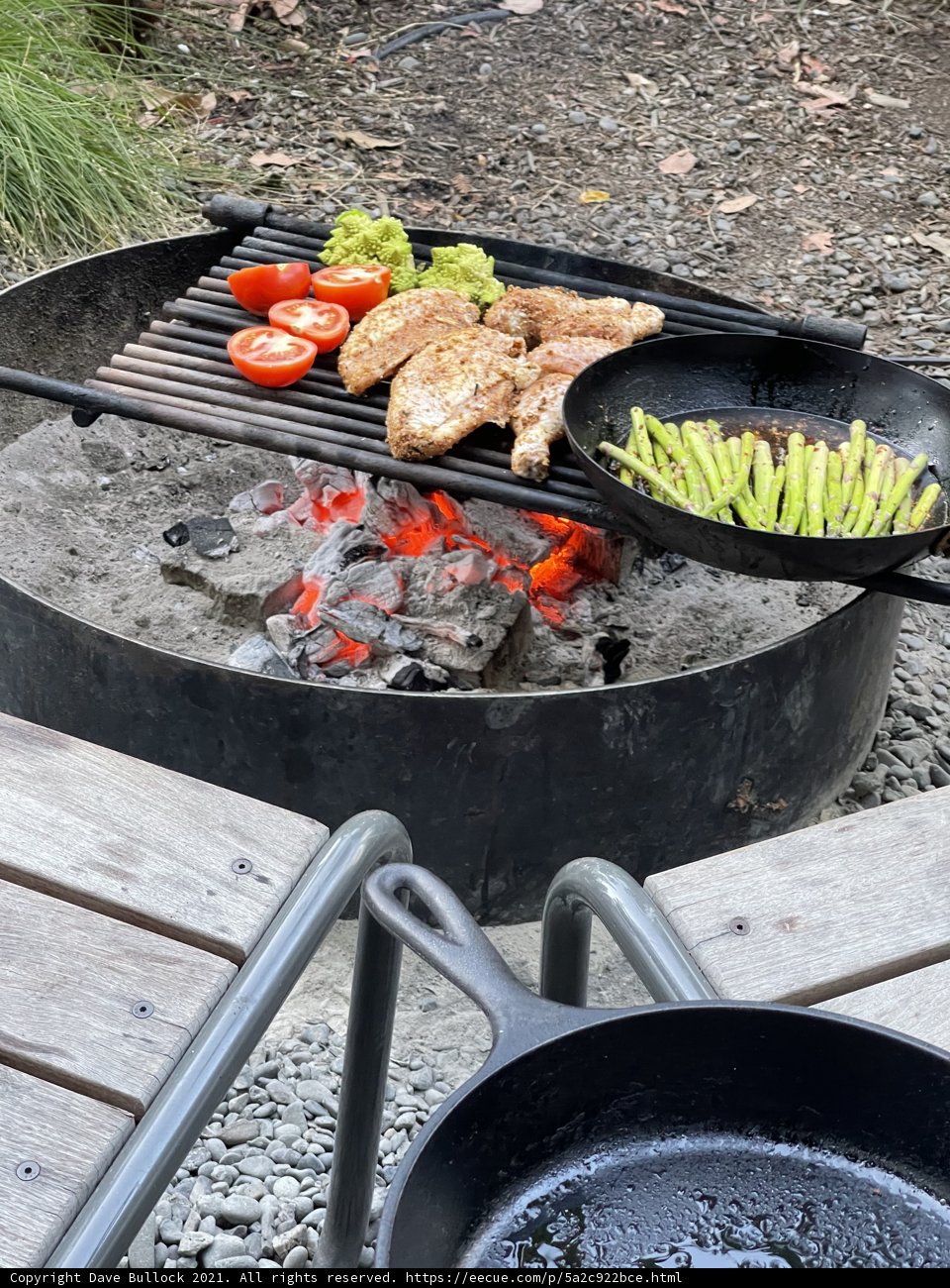 Grilled Chicken and Vegetable Platter