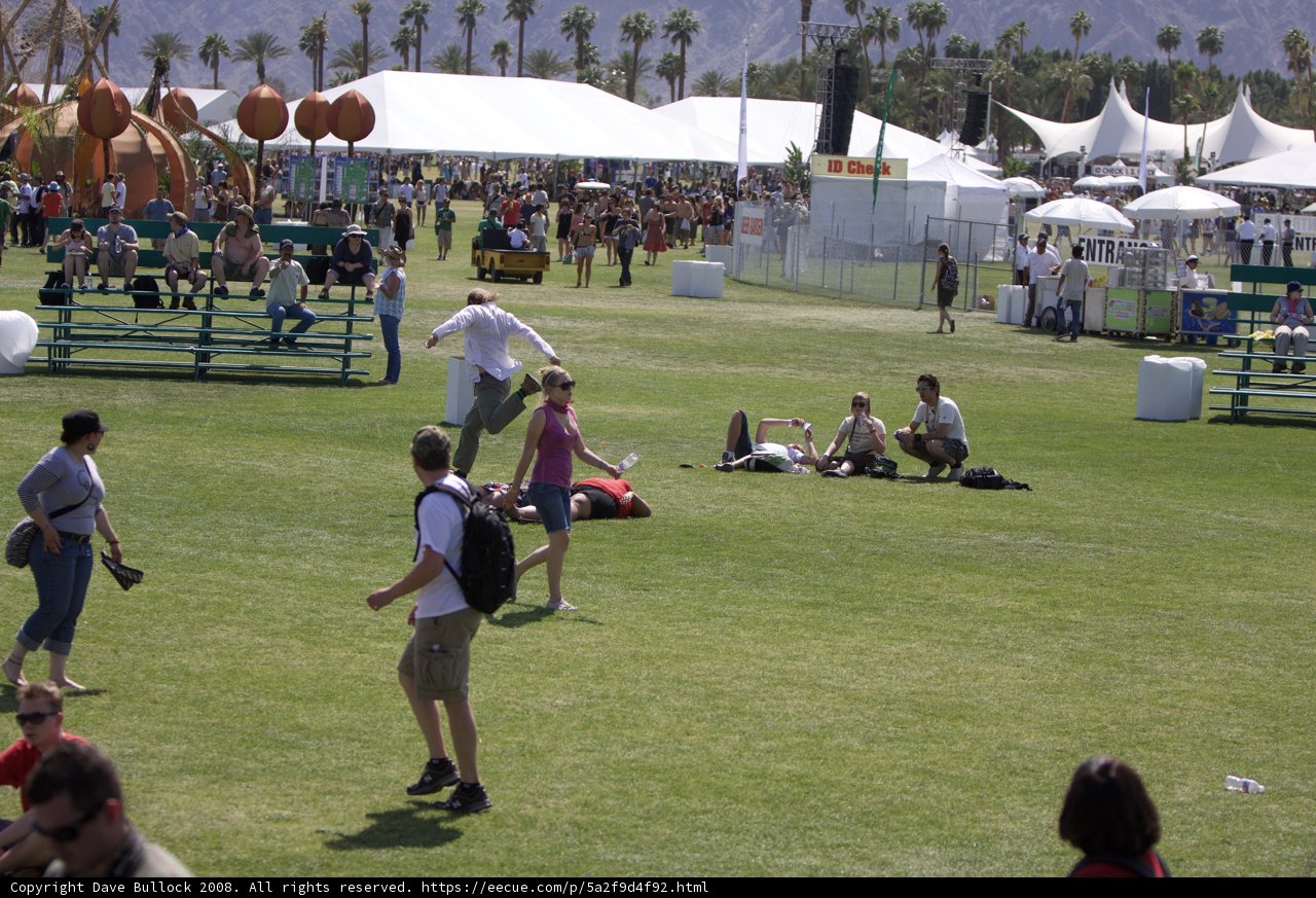 Frisbee Fun on the Grass