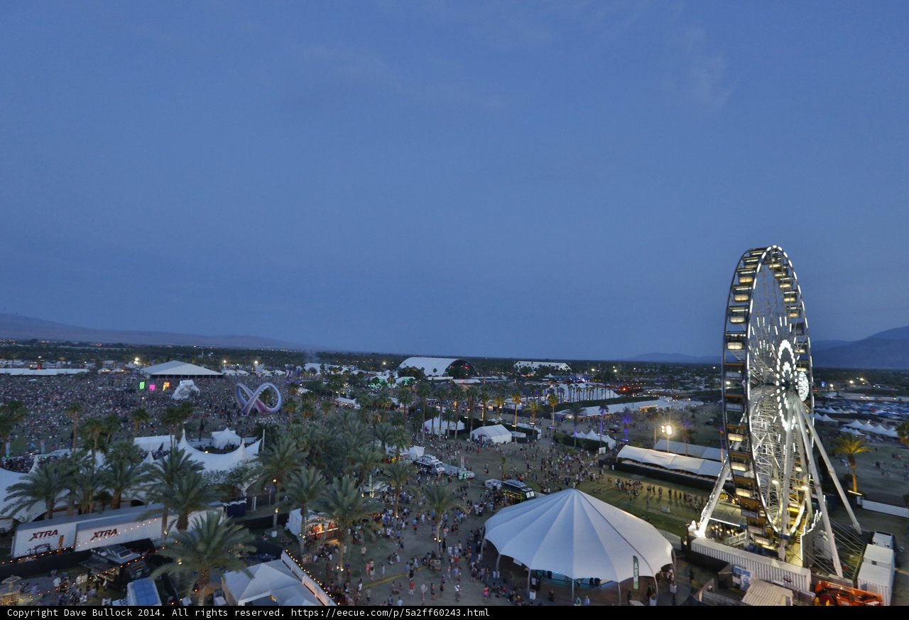 Ferris Wheel Fun at Coachella Festival