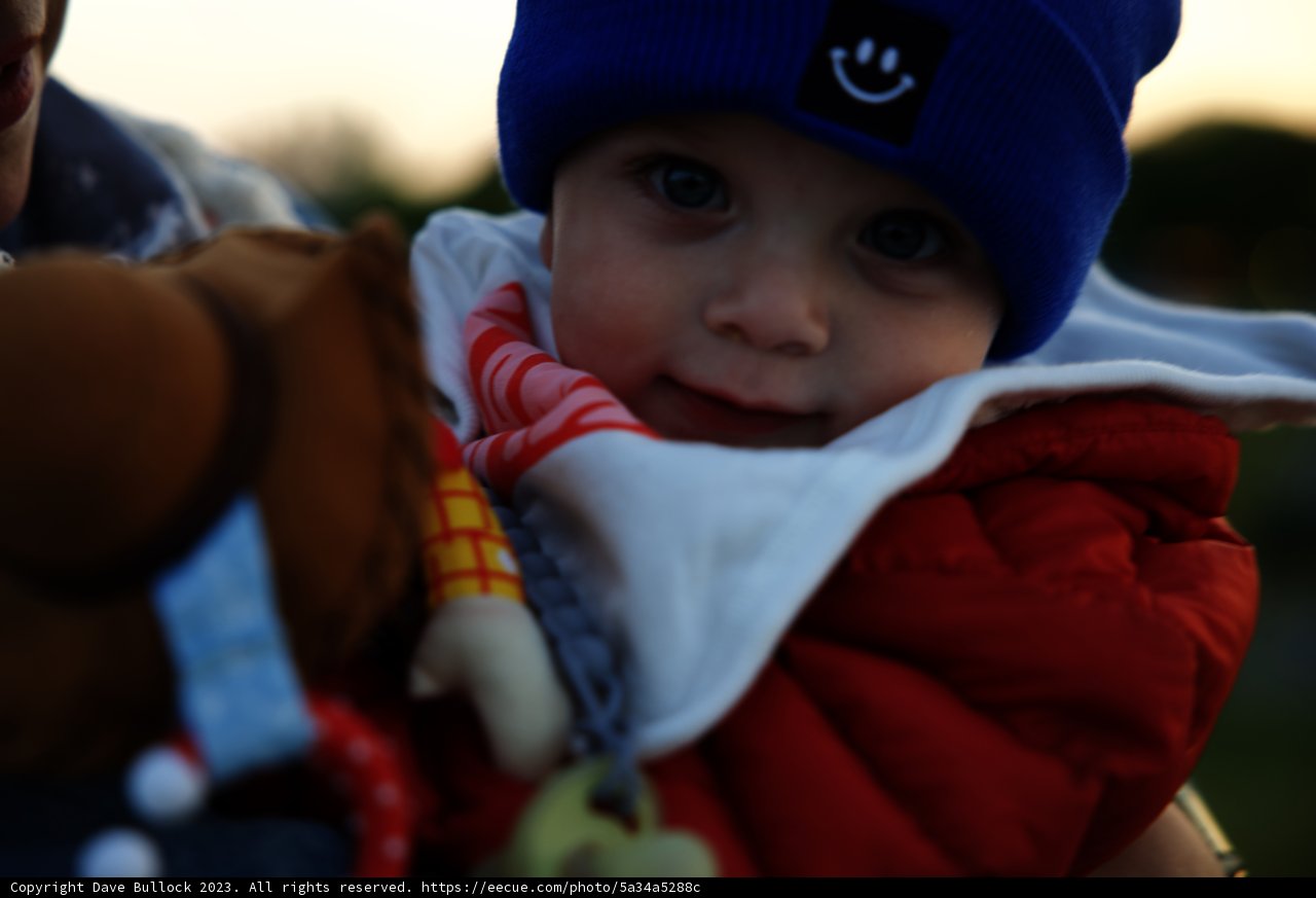 Wesley's Adorable Blue Hat Adventure