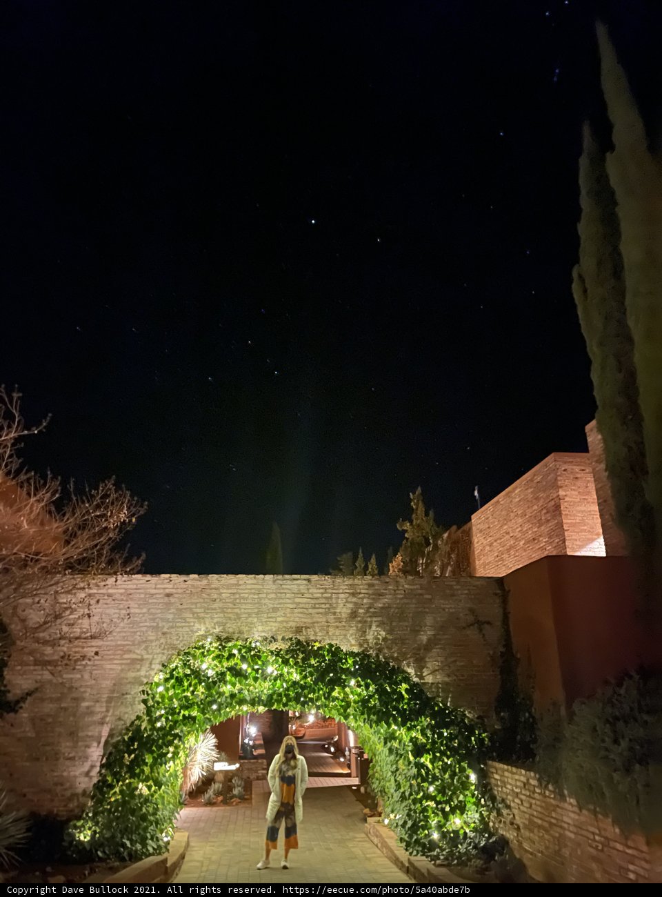 A Romantic Night Walk