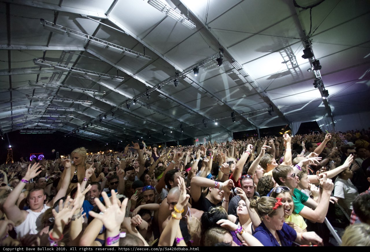 Coachella Crowd Goes Wild