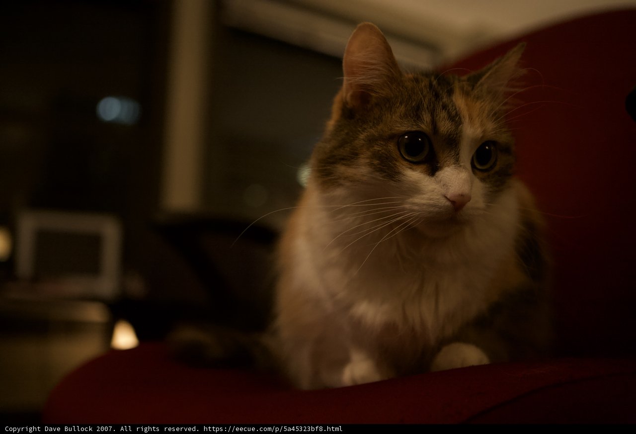 Nighttime Nap