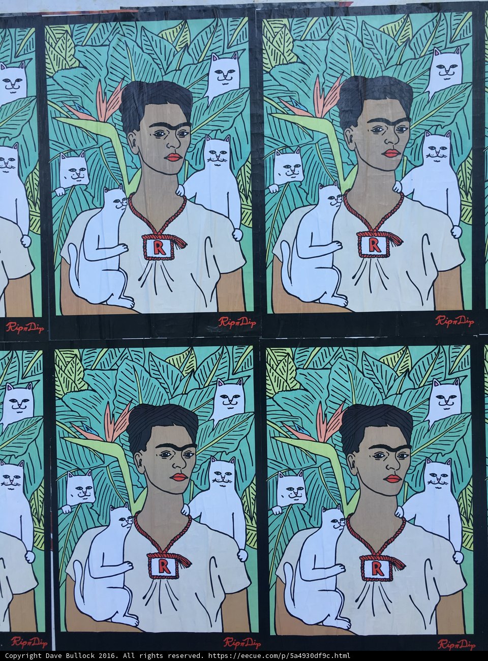 Frida Kahlo Admires Her Feline and Canine Companions