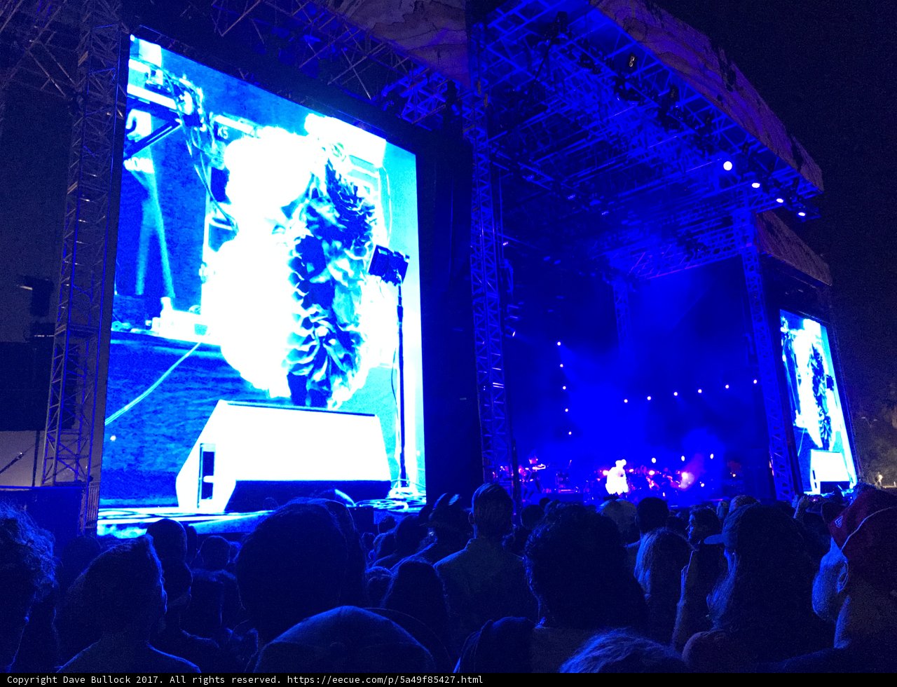 The Electric Crowd at 2017 Concert