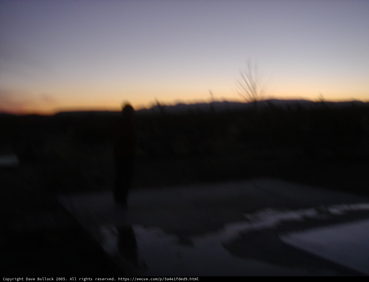 Dusk Silhouette