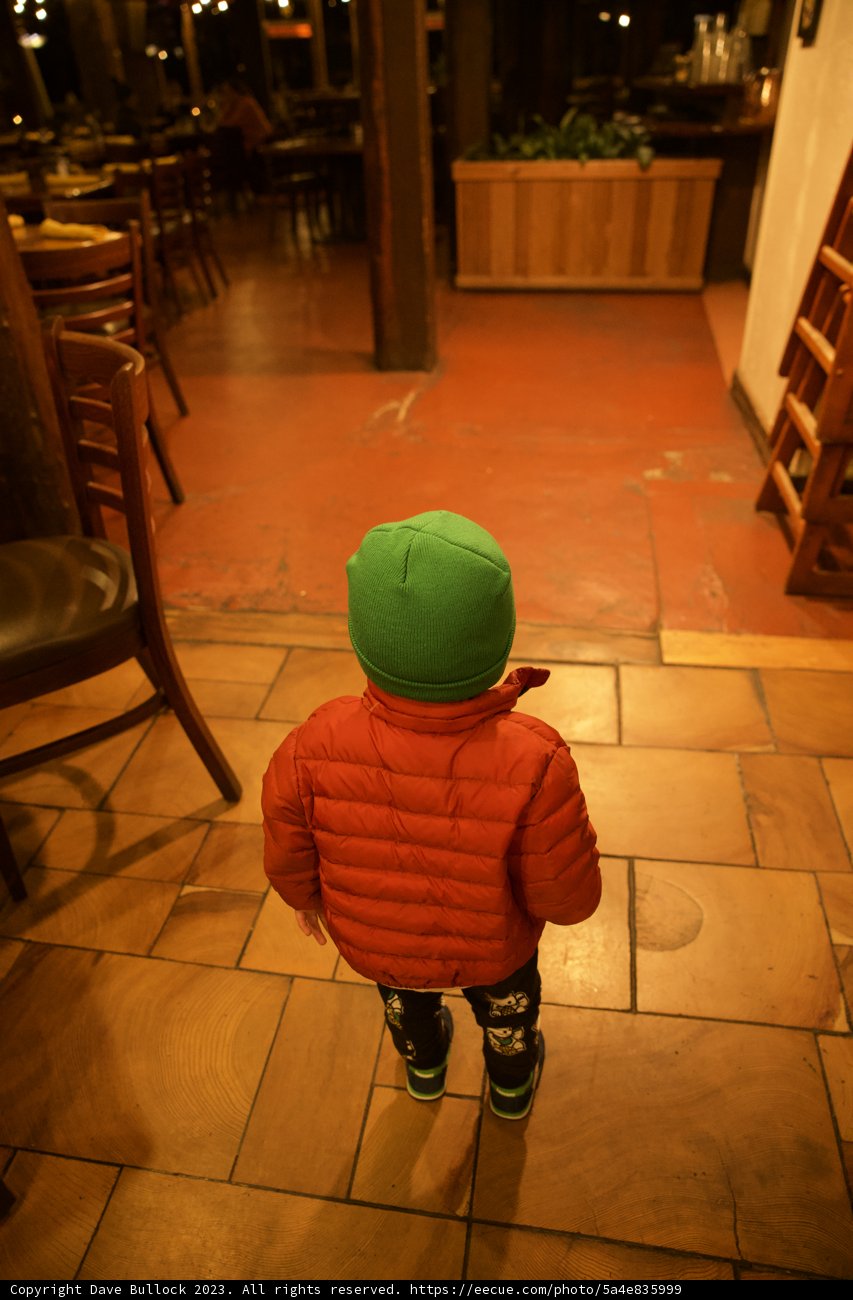 Little Explorer's Big Sur Adventure