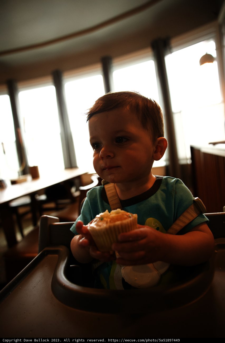 Wesley's First Birthday Celebration!