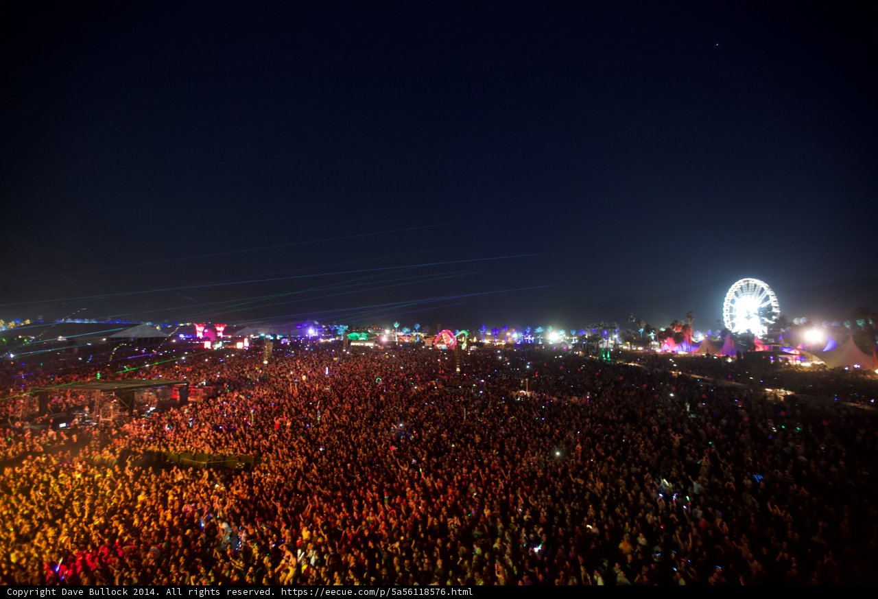 Festival Fever