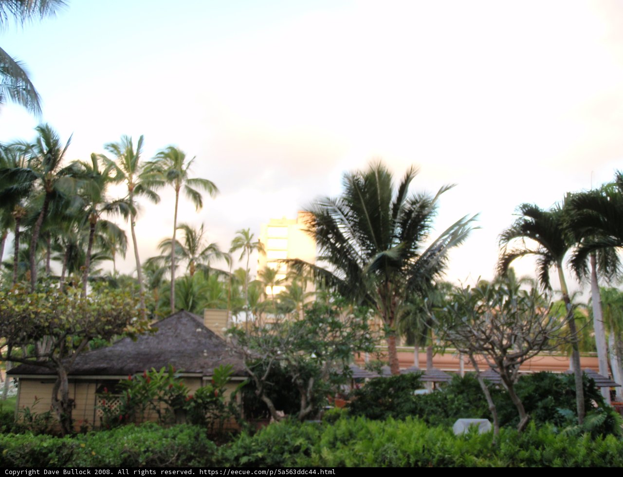 Tropical Oasis with Clock Tower