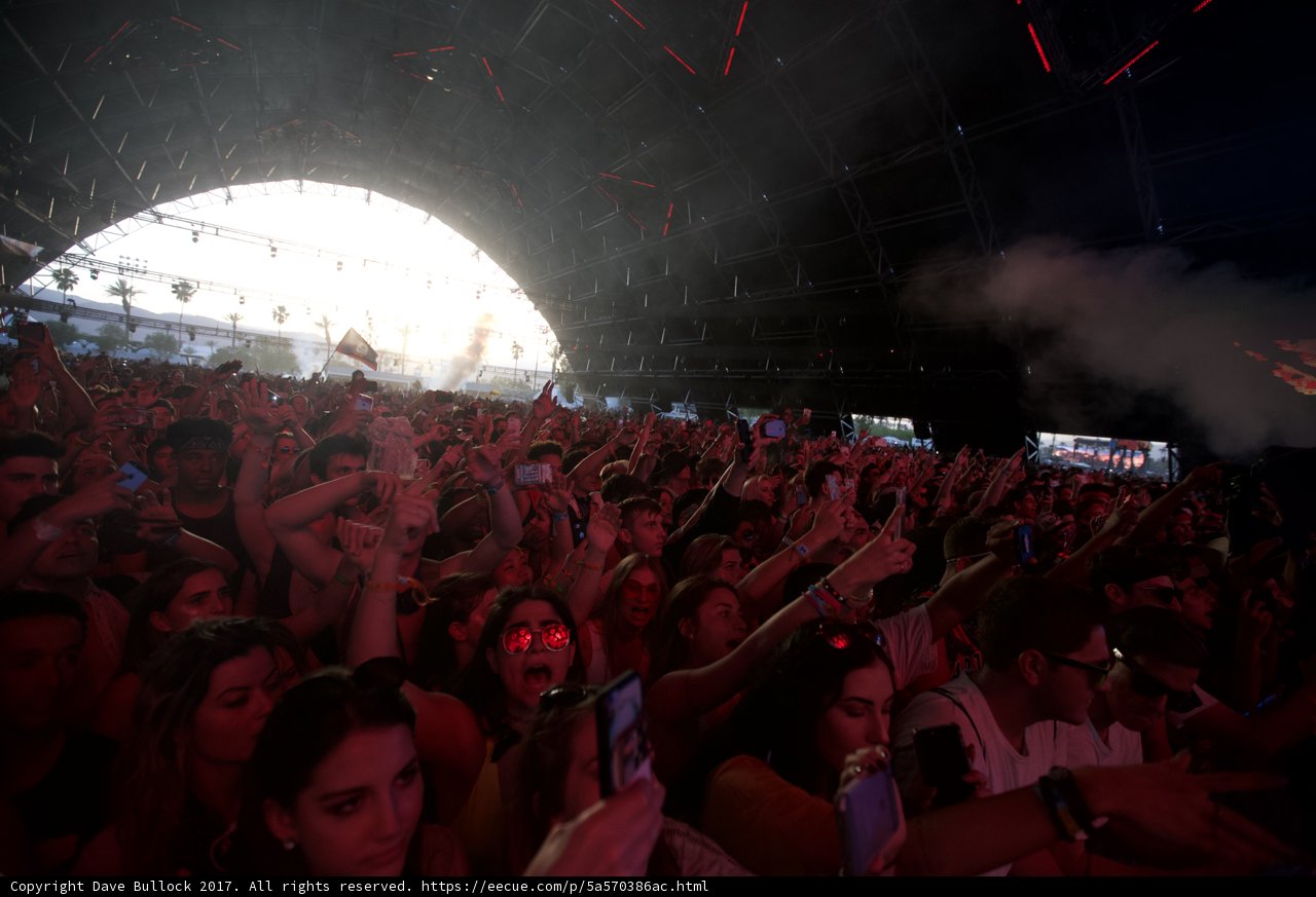 The Wild and Exciting Concert Experience