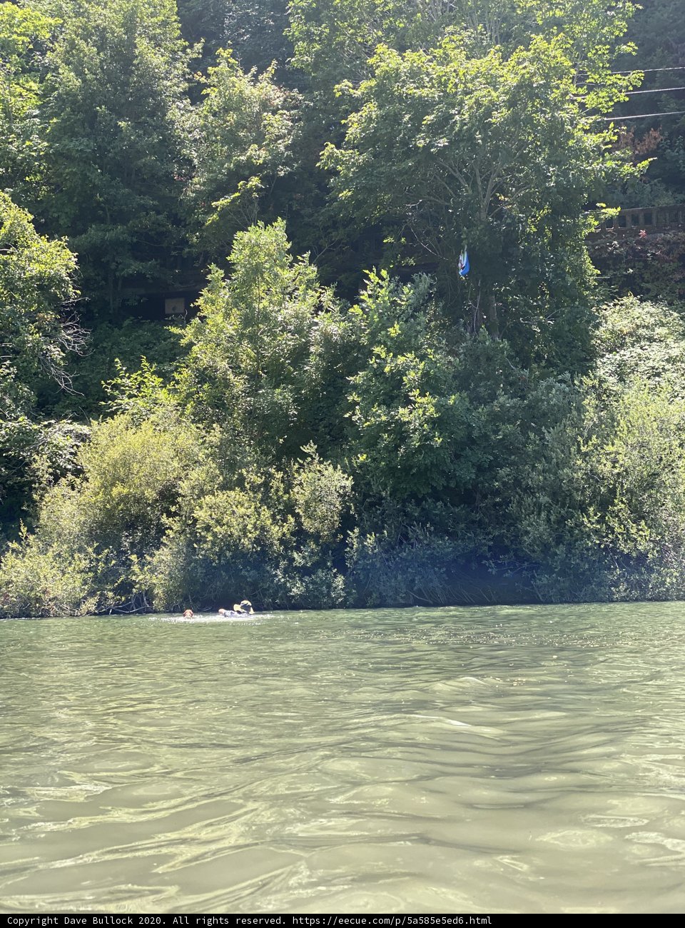 Floating in Nature's Paradise
