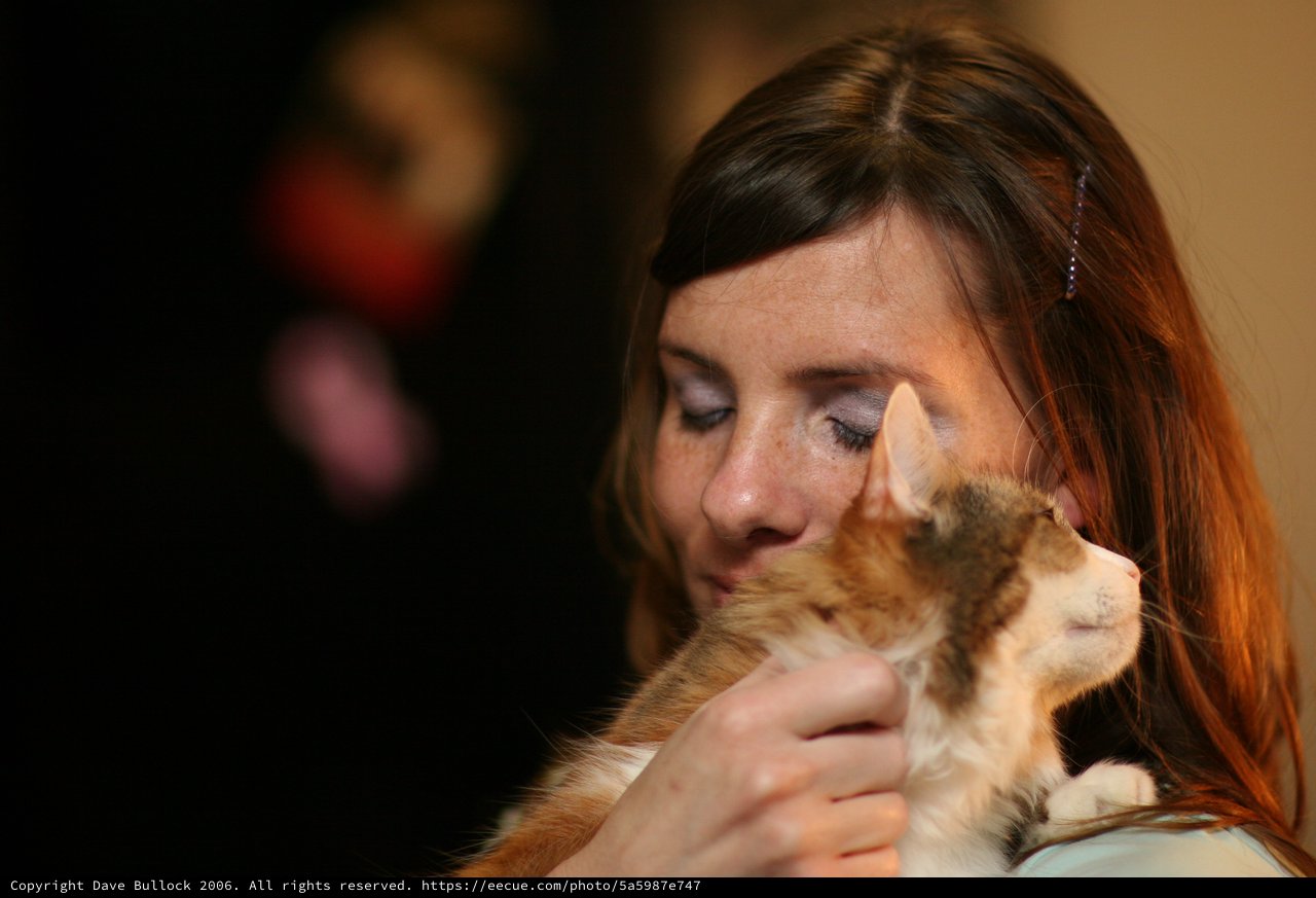 Tender Moment Between Woman and Ginger Cat
