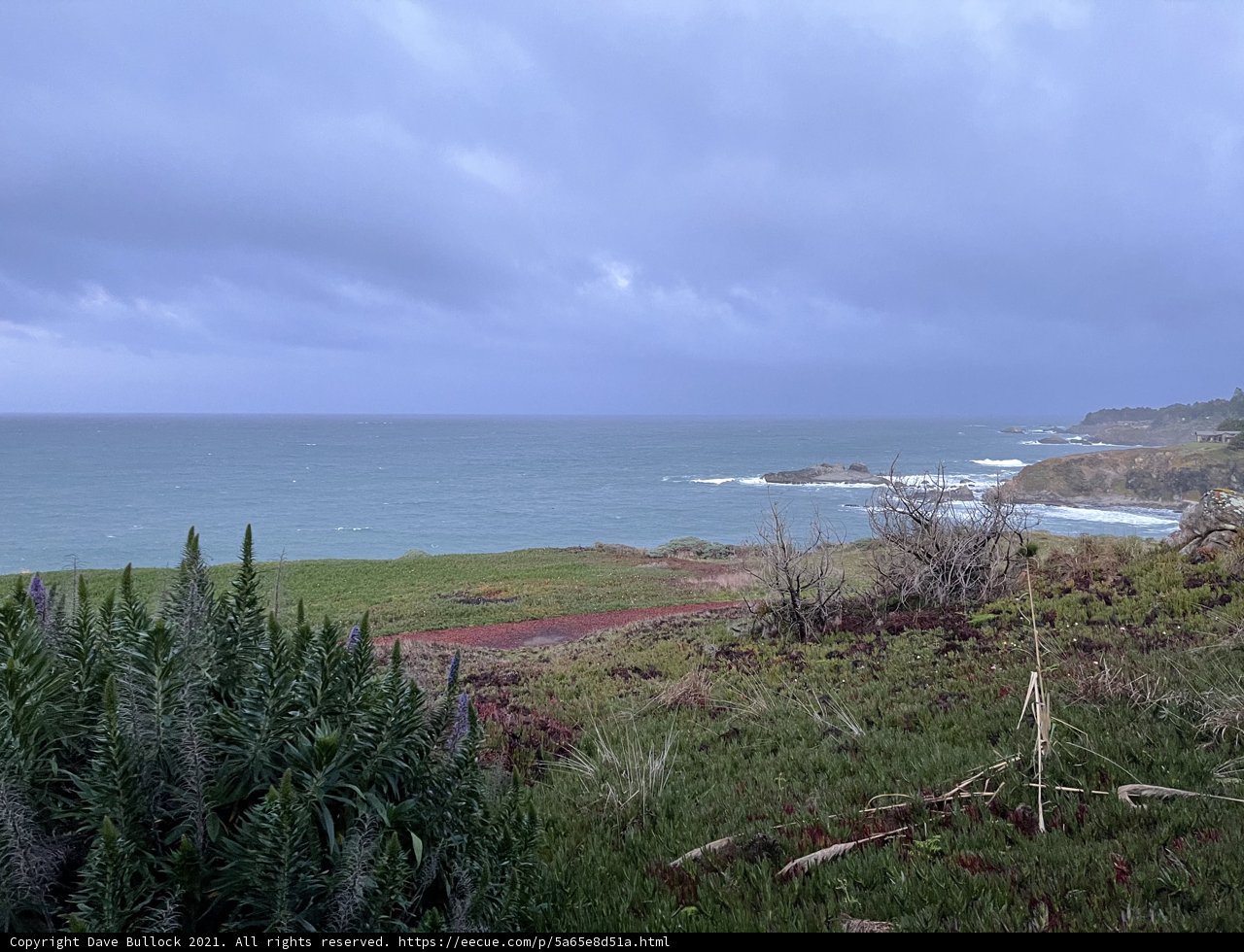 A Scenic View of the Ocean and Grasslands