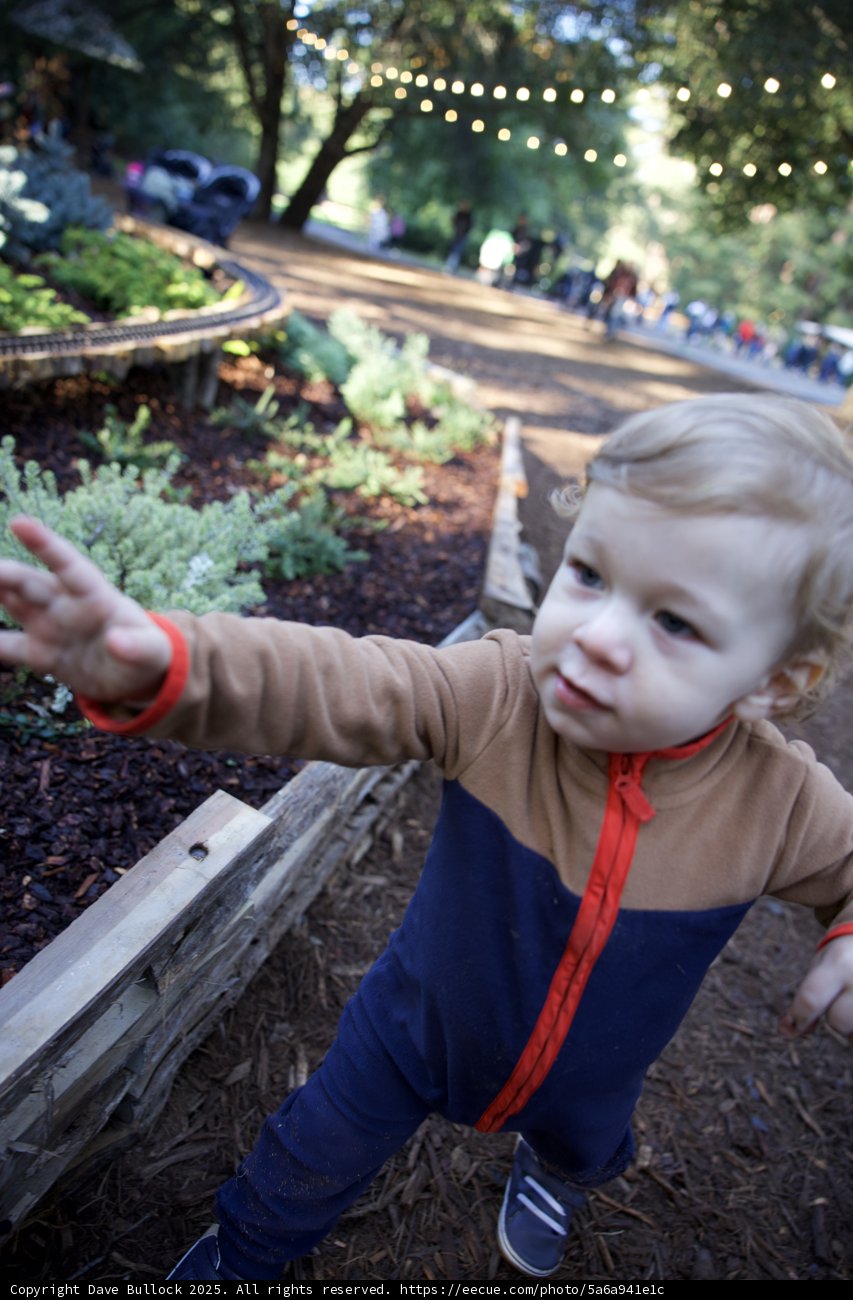 Adventurous Steps in Thistlewyck