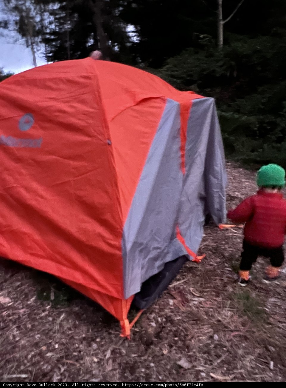 Adventure Awaits: A Childhood Memory