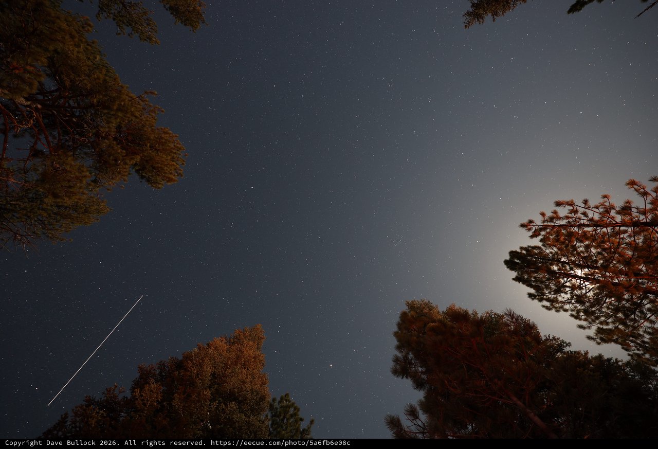 Meteor Streak Over Lassen's Moonlit Forest Canopy