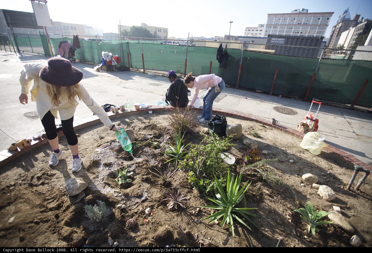 Guerilla Gardening under a Blue Sky