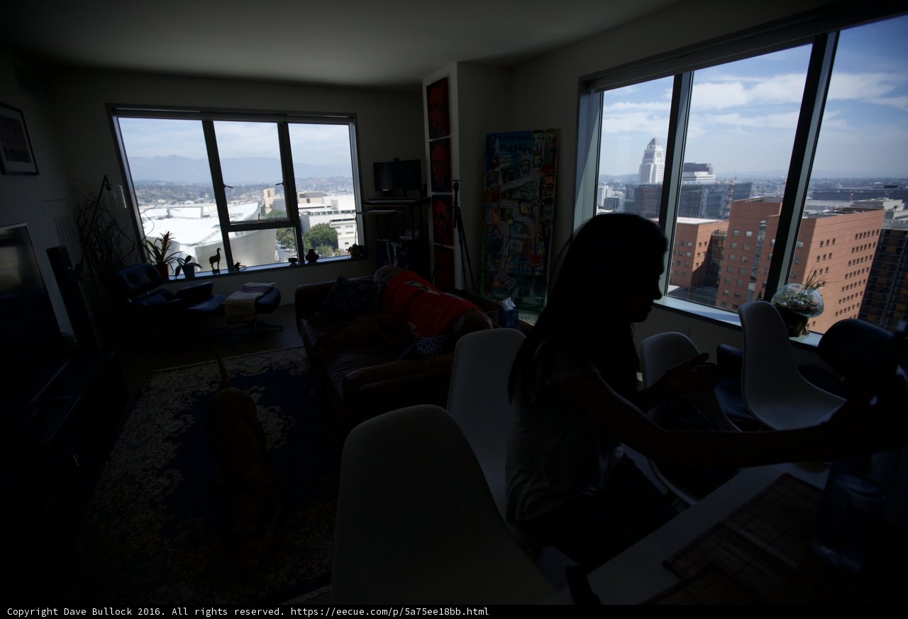 Relaxing in the Penthouse Living Room