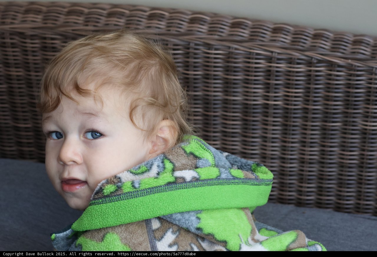 Little Explorer in Carmel Valley