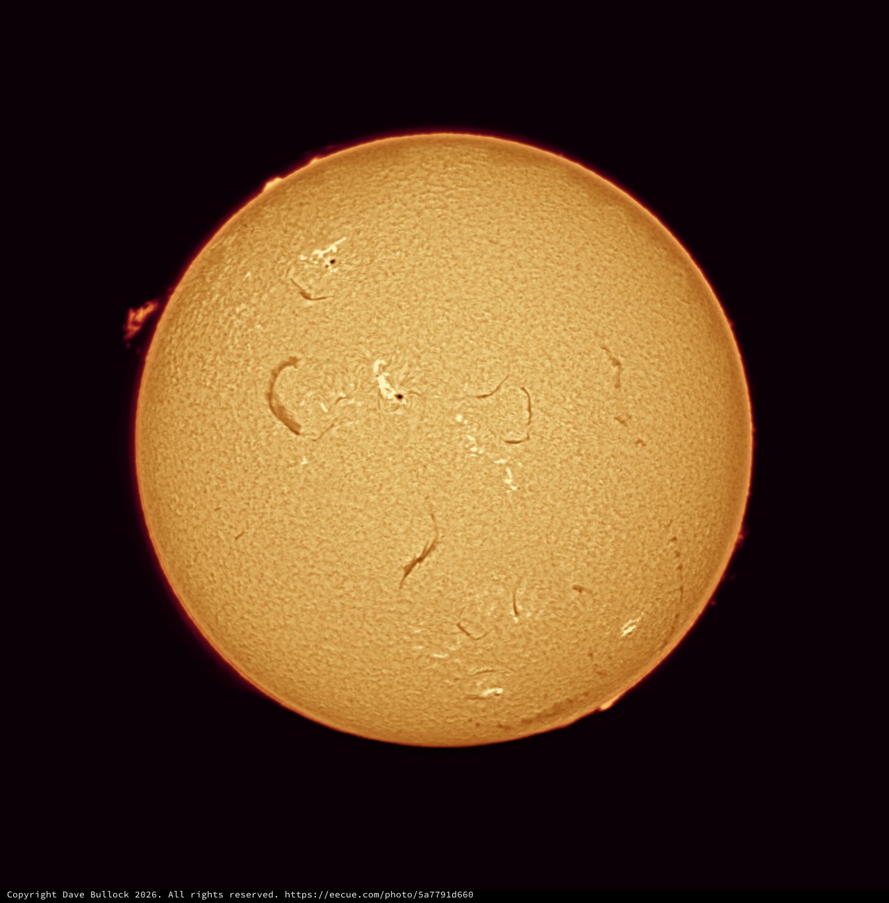 Solar Chromosphere in Hydrogen-Alpha Light
