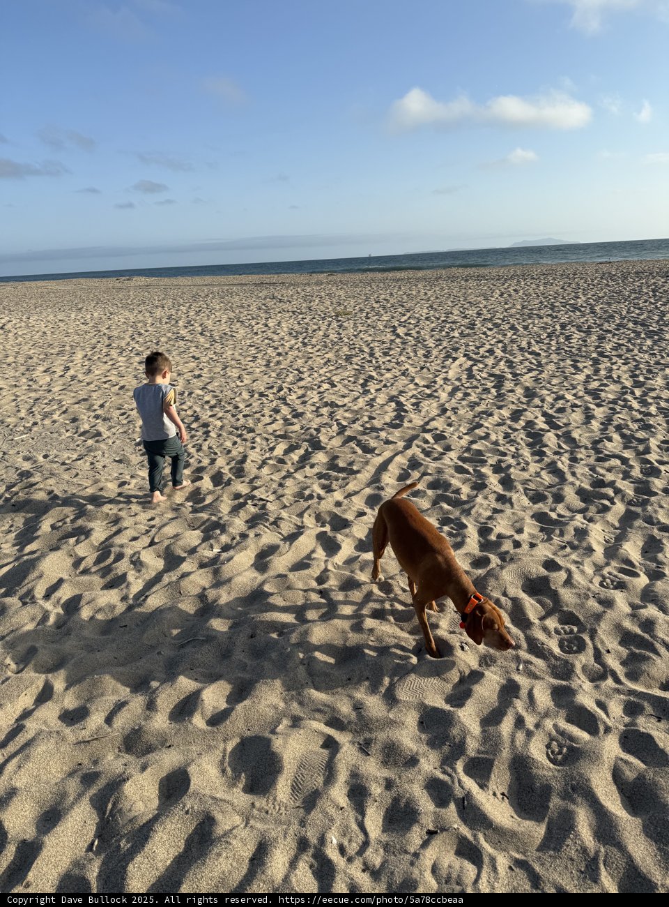 Evening Stroll on the Sands
