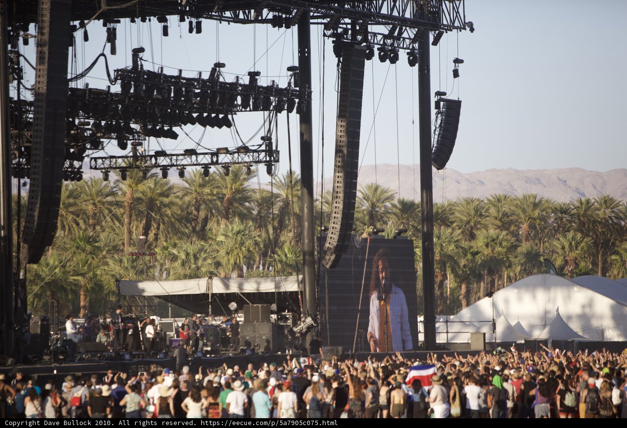 Desert Serenade: A Thrilling Experience of a Concert in the Wild